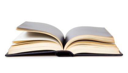 A single blue hardcover book, isolated on a white background, with a clean, simple design and visible spine