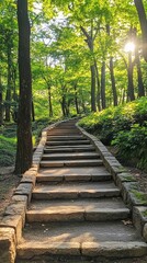 Obraz premium Stone steps wind through a lush green forest, sunlight filtering through the trees.