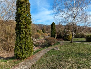 Blossoms in the Botanical Garden