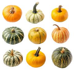 A variety of pumpkins displayed on a transparent background showcasing different shapes, Different types of pumpkin transparent background. Pumpkin vegetables isolated on transparent background