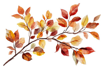 Autumn leaves in warm shades on a delicate branch isolated on transparent background