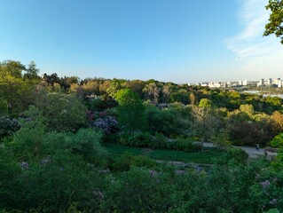 Beauty: Blossoms in the Botanical Garden