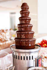 Chocolate fountain in the buffet.