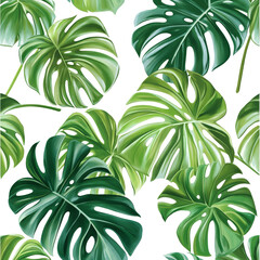 Tropical jungle Monstera leaves on a bright transparent background creating a fresh and vibrant atmosphere, tropical jungle Monstera leaves on transparent background