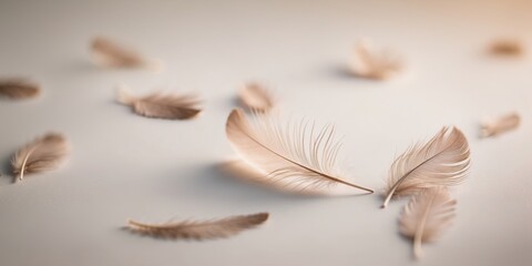 Soft Abstract Background with Delicate Feathers.