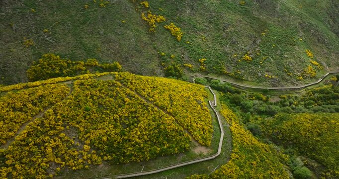 Aerial View of Blooming Hills and Passadi&ccedil;os do Mondego Trails, Portugal | Nature in 4K