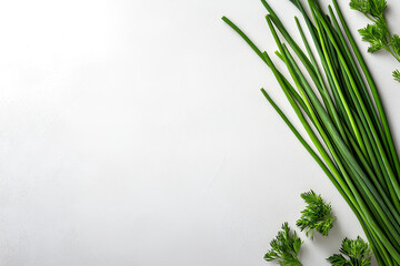 Fresh green herbs on white isolated background