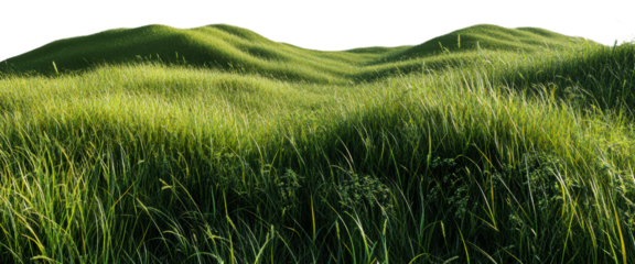 Lush green hills under bright sunlight at midday isolated on transparent background