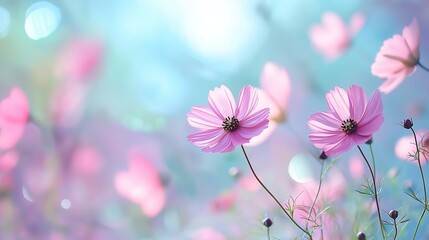 Fototapeta premium Soft Abstract Flower background