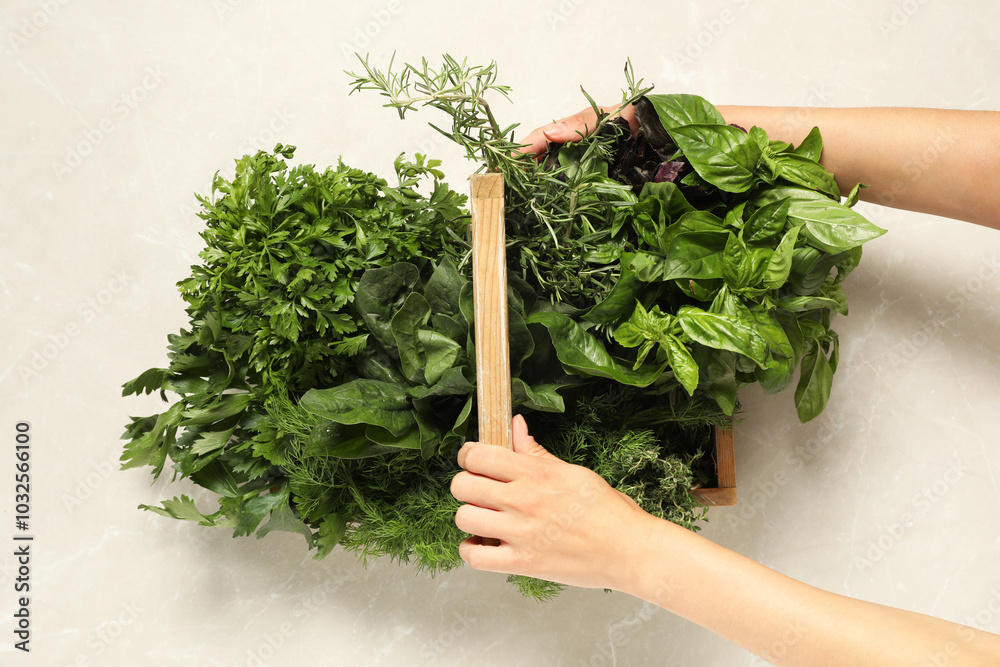 Wall mural Woman holding different fresh herbs in wooden basket at light table, top view