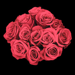 a dozen pink roses isolated on a black background