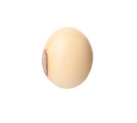 One raw soy bean isolated on white