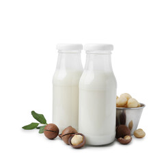 Bottles of macadamia milk and nuts isolated on white