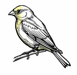 Beautiful Canary Bird Logo, Yellow Bird Design for Your Corporate and Business Graphic Resource or Creative Project, Ai Generative