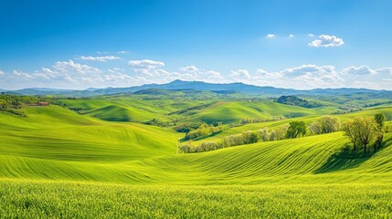 Fototapeta premium Lush green hills under a bright blue sky with distant mountains.