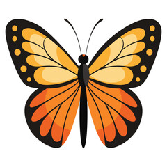 Cute beautiful color butterfly logo vector 15
