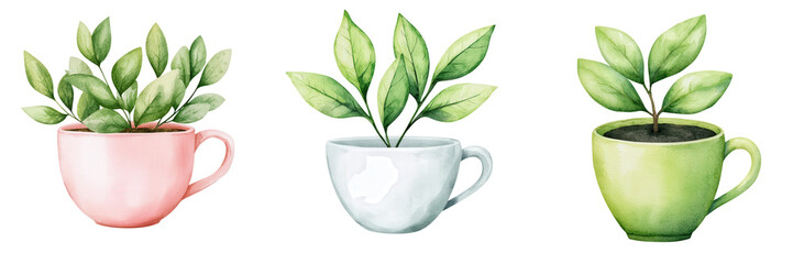 Three colorful cups with green leaves, embodying a fresh and vibrant home decor theme, set of watercolor, clipart, isolated on transparent background