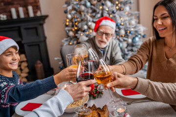 Extended family toasting wine at christmas dinner