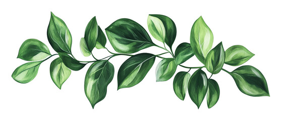 Naklejka premium A vibrant branch adorned with lush green leaves, perfect for enhancing designs with a touch of nature's beauty.