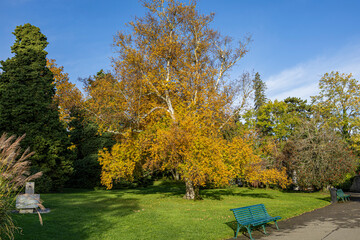 autumn in the park, Geneve Switzerland