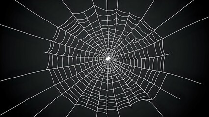 Fototapeta premium White spider web on a black background.