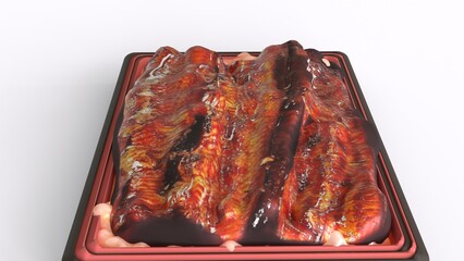 different types of seafood photos