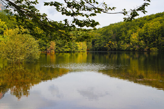 Reflejos en el agua de &aacute;rboles en oto&ntilde;o