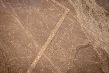 Whale Nazca lines Peru