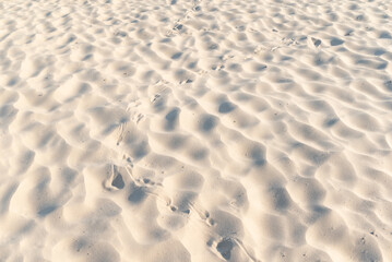 Footprints of some bird on sandy beach. Traces of bird walking on dry beach sand