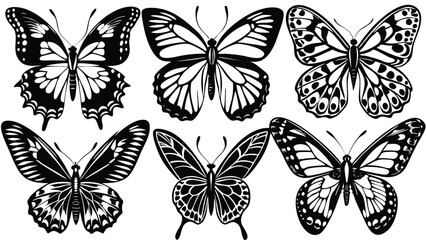 collection of butterflies