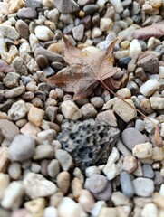 pebbles on the beach