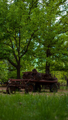 Obraz premium Viñedos, naturaleza y tormenta
