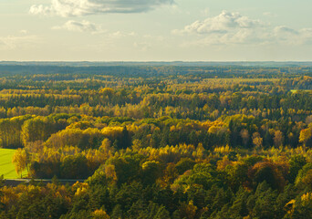 Fototapeta premium Vidzeme, autumn landscape (Nature of Latvia).