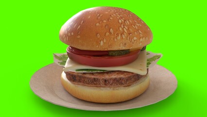 Cheese burger on plate with green background
