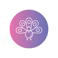 Peacock vector icon stock illustration