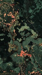 texture motif. texture pattern. marble motif. camouflage. abstract motif. ceramics