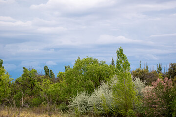 Obraz premium Viajar por Europa en verano 