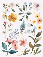 Plants and flowers in a white background. Watercolor wildflowers and leaves illustration set. Botanical leaf, floral, wedding, card, invitation, greeting decoration.