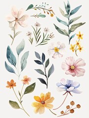 Plants and flowers in a white background. Watercolor wildflowers and leaves illustration set. Botanical leaf, floral, wedding, card, invitation, greeting decoration.