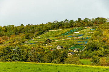 Fototapeta premium Eine farbenfrohe herbstliche Wanderung durch die wunderschöne Landschaft der Saale Horizontale bei Jena - Thüringen - Deutschland