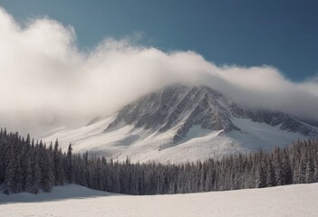 Fototapeta premium Beautiful winter mountains landscape with snow covered trees and blue sky.