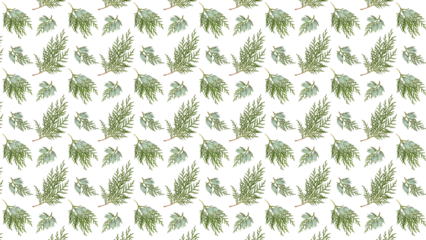 Background of thuja branches based on a seamless pattern. Platycladus orientalis thuja branches with cones isolated on a white background. Pattern for wrapping paper, greeting cards, prints, fabrics.