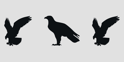 Black silhouettes of eagles. Vector on gray background