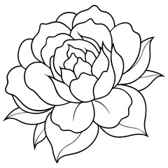 vector rose flower