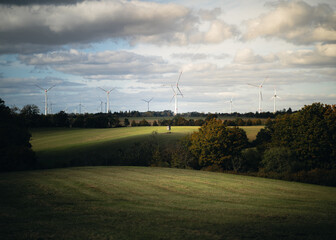 Lebus Landschaft Oderbruch