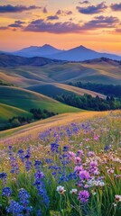 Fototapeta premium Rolling Hills with Wildflowers at Sunset