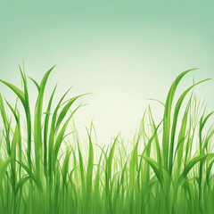 Fototapeta premium green grass illustration background