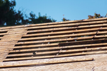 Wooden roof frame under construction, roof replacement project with visible beams and plywood