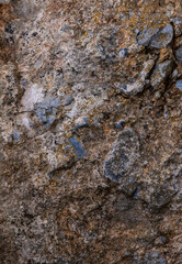 Textured natural rock surface showcasing mineral deposits and earthy tones in a rugged outdoor setting