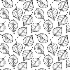 Line art graphic pattern with leaves Black and white background